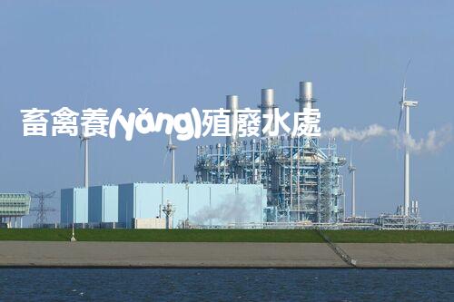 畜禽養(yǎng)殖廢水處理技術規(guī)范深度解析！如何實現(xiàn)綠色可持續(xù)發(fā)展？